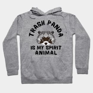 Raccoon Funny Sayings Hoodie